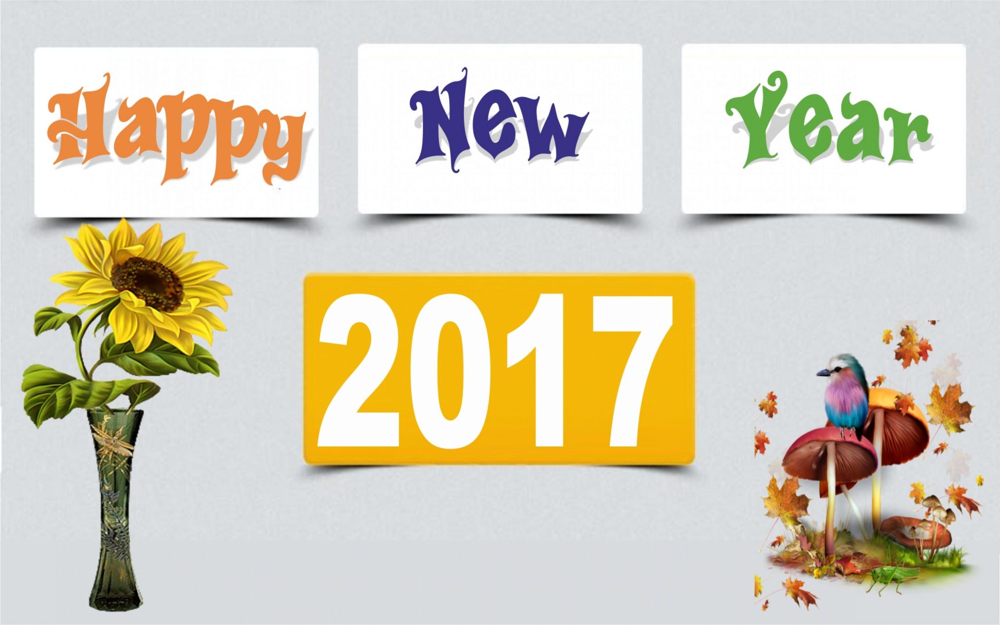 Dậy sóng mạng - Tết Dương lịch 2017: Những hình ảnh chúc mừng năm mới đẹp mắt nhất (Hình 5).