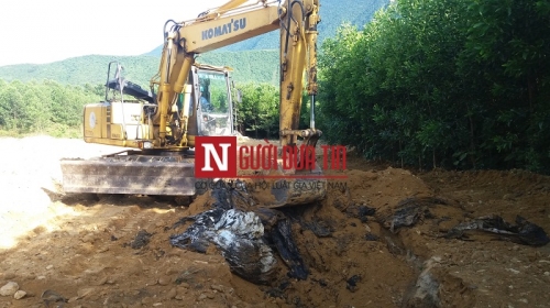 Xi nhan Trái Phải - Đưa tin dân kiện Formosa, báo Người Đưa Tin lại bị tấn công (D.DOS)