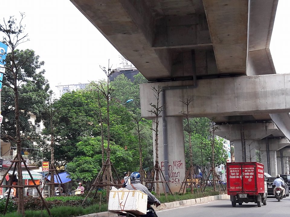 Xã hội - Chuyện sốc giữa Thủ đô: Trồng cây dưới gầm đường sắt trên cao (Hình 2).