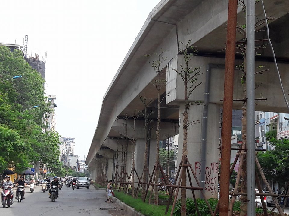 Xã hội - Chuyện sốc giữa Thủ đô: Trồng cây dưới gầm đường sắt trên cao (Hình 4).