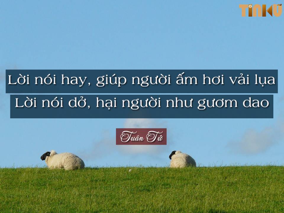 Tin cũ - Triết gia Tuân Tử: 'Vô đức bất quý...' (Hình 4).
