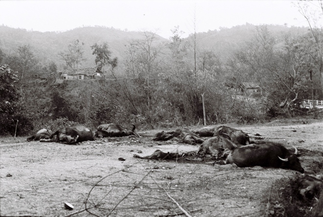 Tin cũ - Biên giới tháng 2 năm 1979 (Hình 6).