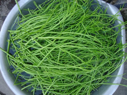 Tin cũ - Gỏi rau muống 'đa quốc gia': Món ăn quen mà lạ (Hình 2).