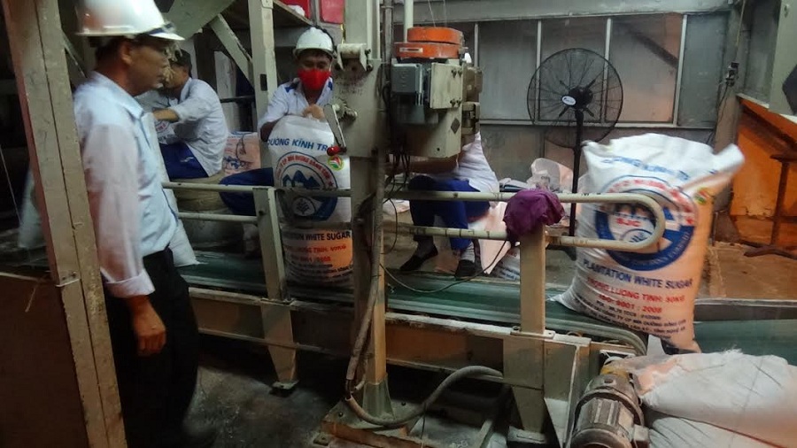 Kinh doanh - Nghệ An: Nông dân phấn khởi đón Tết ấm vì giá mía cao (Hình 2).