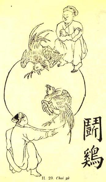 Văn hoá - Ngày xuân, tản mạn về những bi kịch quanh thú đá gà của người Việt (Hình 3).