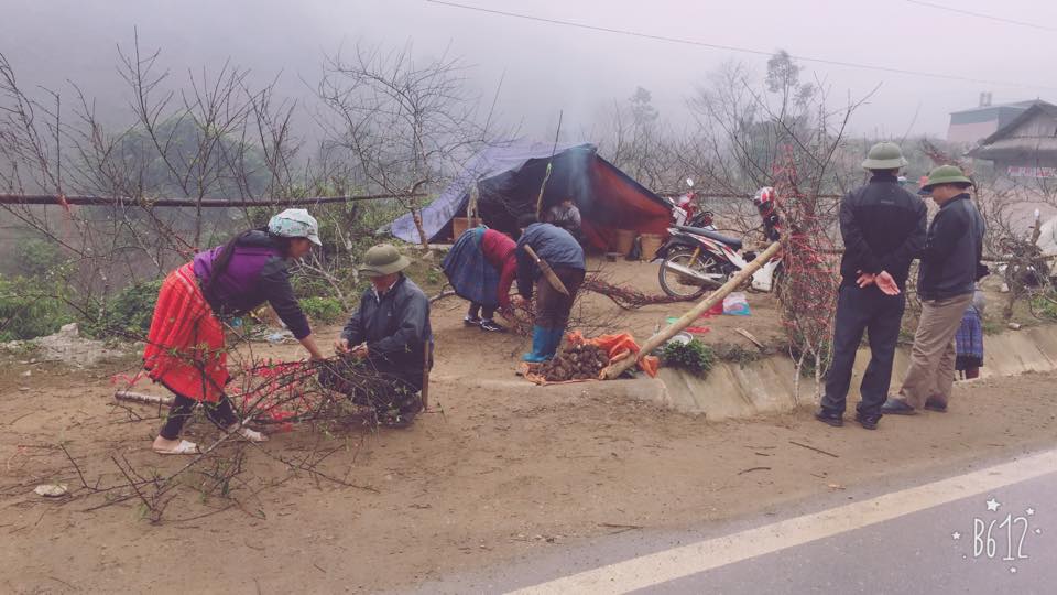 Dậy sóng mạng - Xem chùm ảnh 'Xuân Tây Bắc' này bạn sẽ muốn xách ba lô lên và đi (Hình 3).