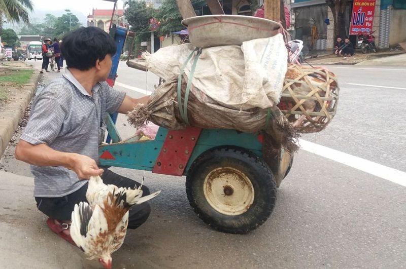 Xã hội - Người đàn ông khuyết tật đẩy xe hơn 10km mỗi ngày để bán gà dịp Tết (Hình 3).