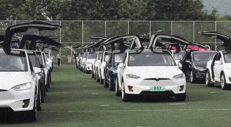 Thị trường - Kinh ngạc với hàng trăm chiếc xe Tesla Model S quy tụ