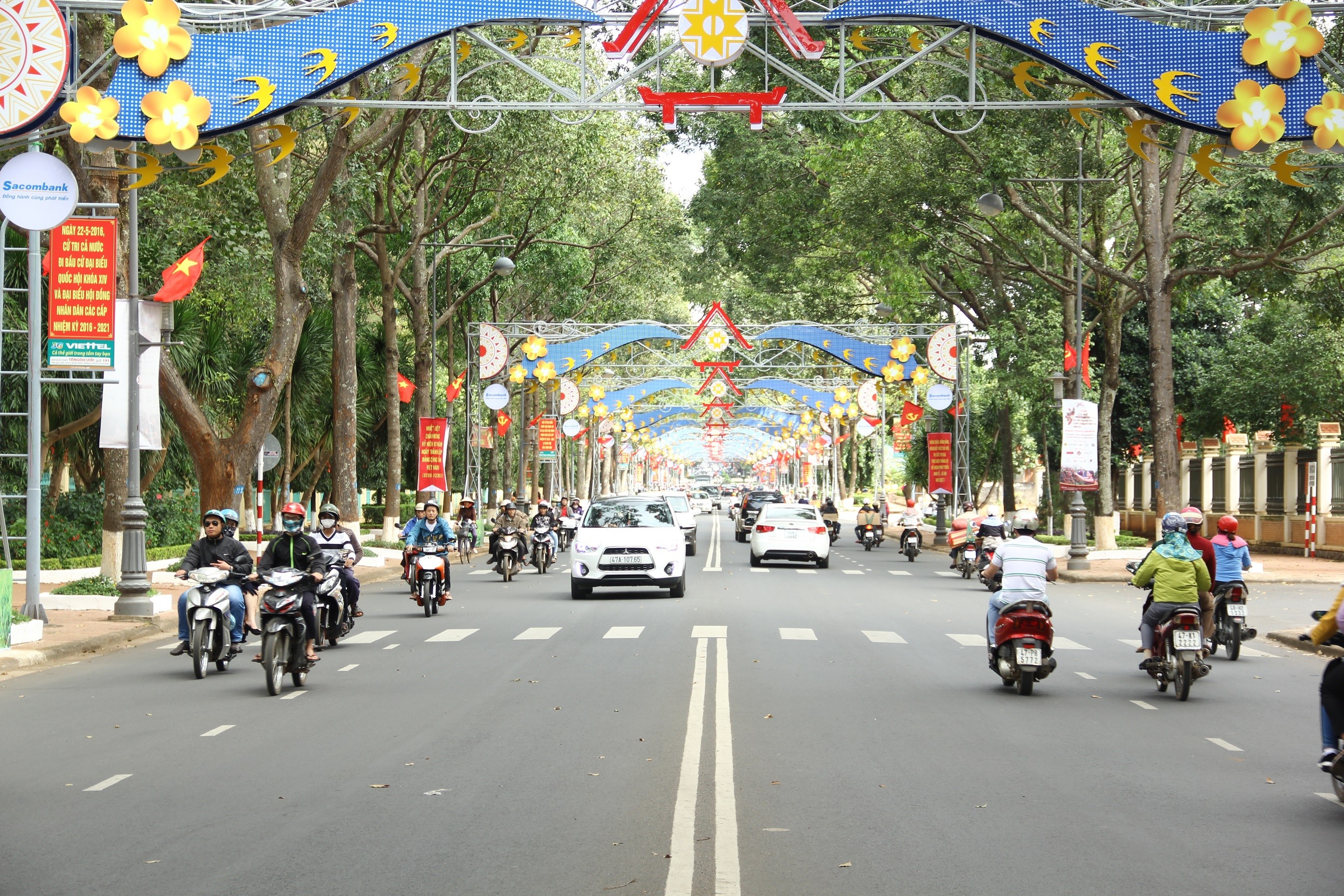 Xã hội - Sắc xuân ngập tràn trên đại ngàn Tây Nguyên