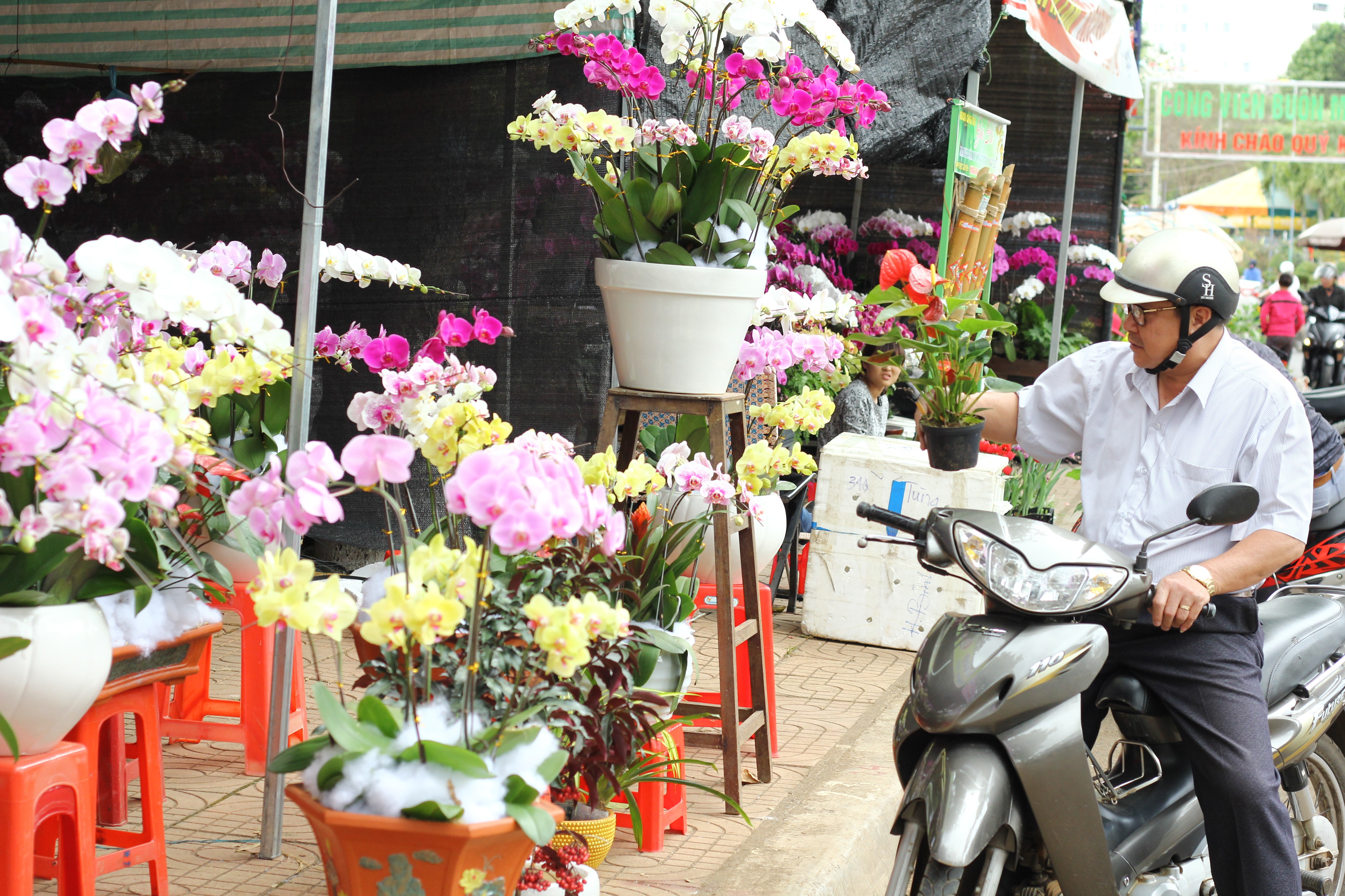 Xã hội - Sắc xuân ngập tràn trên đại ngàn Tây Nguyên (Hình 3).