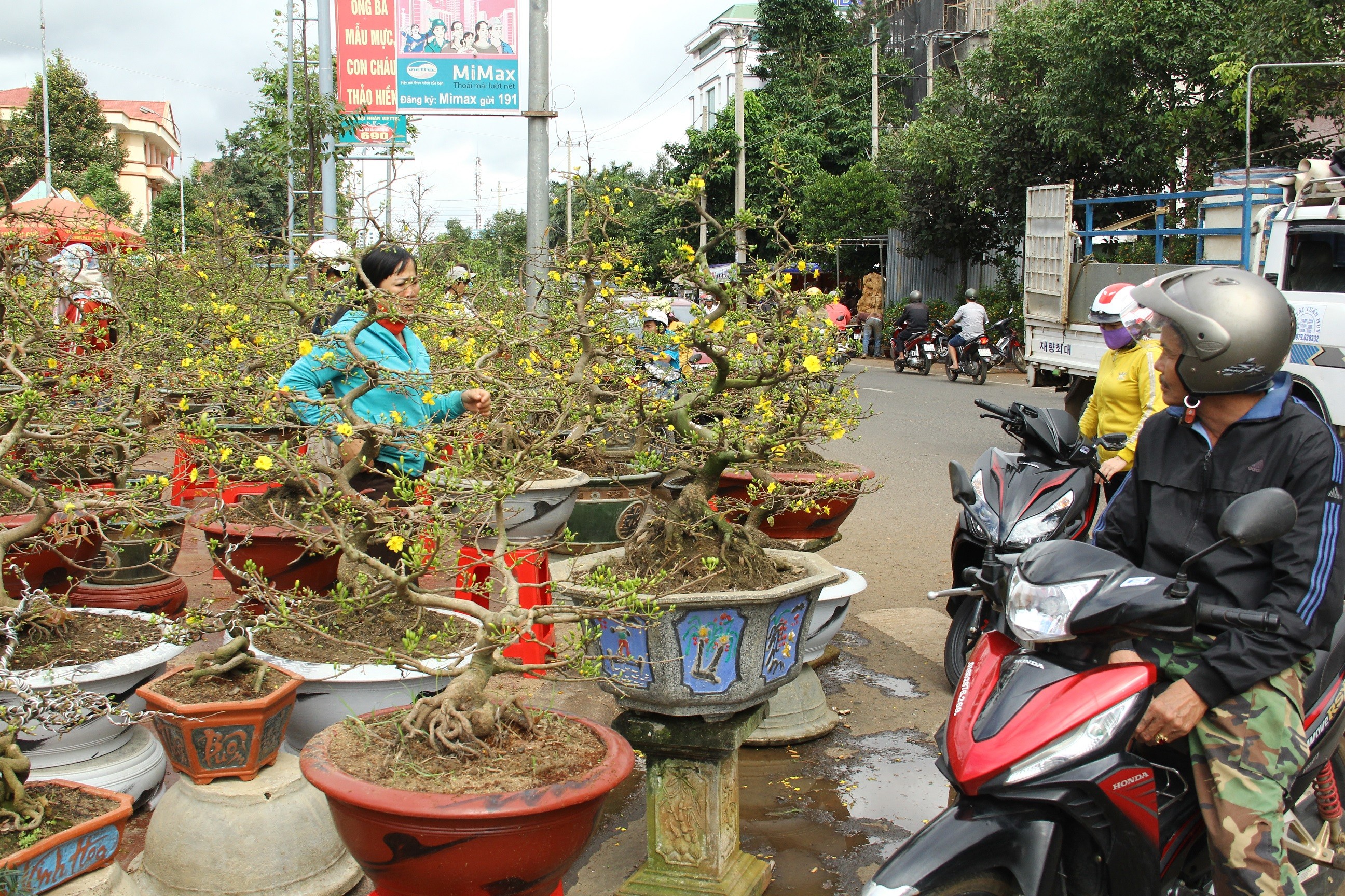 Xã hội - Sắc xuân ngập tràn trên đại ngàn Tây Nguyên (Hình 2).