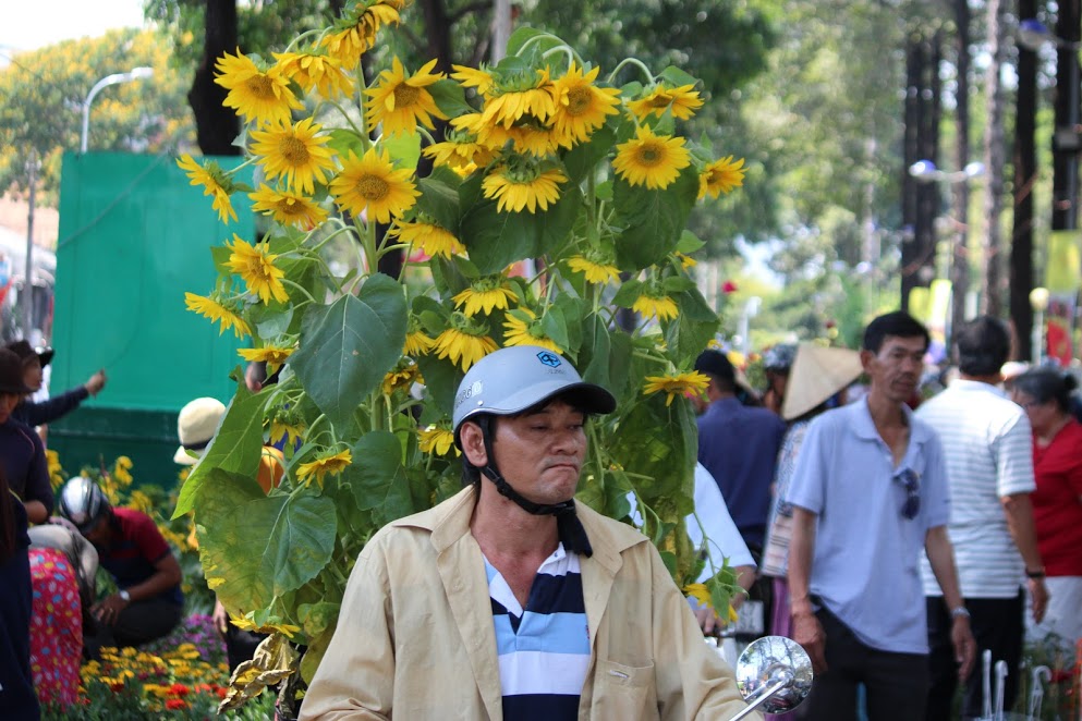 Tin nhanh - Cây cảnh bỏ thùng rác, người Sài Gòn đổ xô mua cây rẻ chiều 30 Tết (Hình 2).