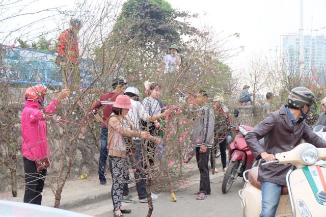 Xã hội - Hà Nội:Chiều 30 Tết đào quất hạ giá, cây bạc triệu bán vài chục ngàn (Hình 5).