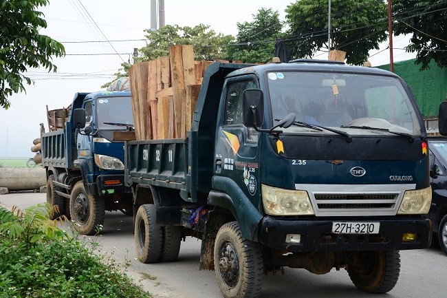 Điểm nóng - Điện Biên: Bắt giữ 4 xe chở gỗ trái phép