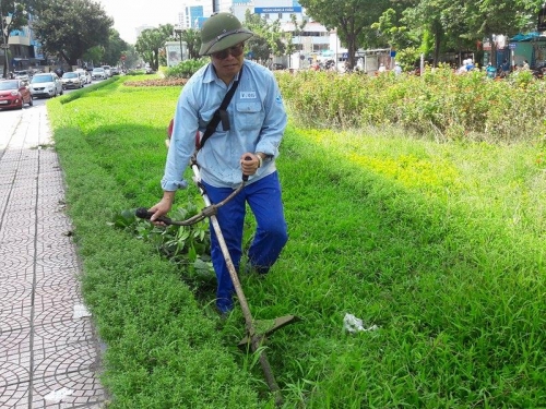 Xã hội - Hà Nội sẽ cắt cỏ 18 lần mỗi năm với giá bất ngờ