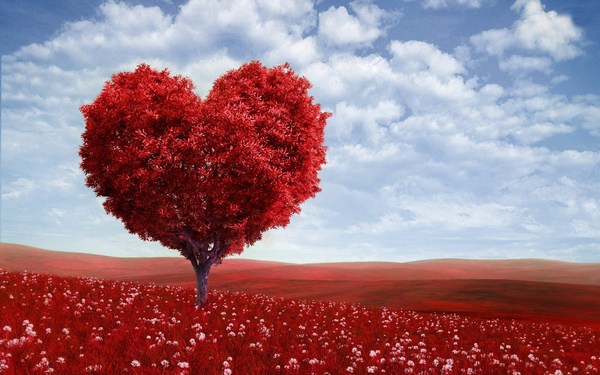 Dậy sóng mạng - Những hình ảnh Valentine đẹp nhất, lung linh nhất cho người ấy (Hình 10).