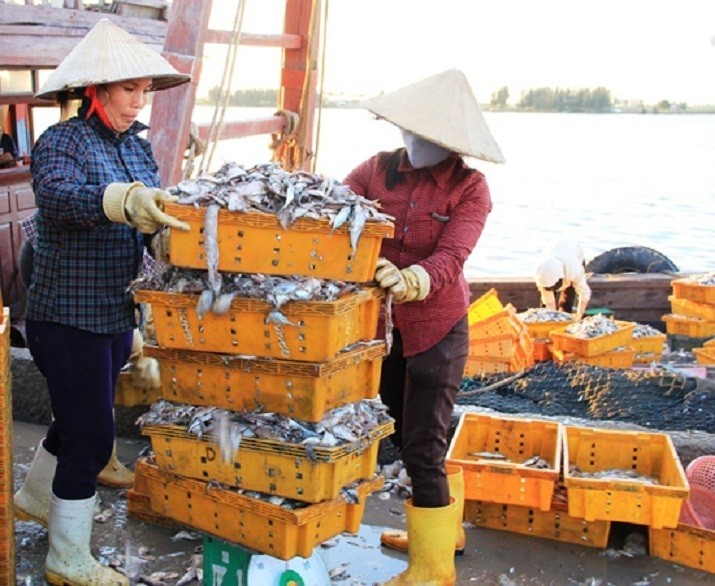 Xã hội - Ra khơi những ngày đầu xuân, ngư dân miền Trung trúng 'lộc biển'