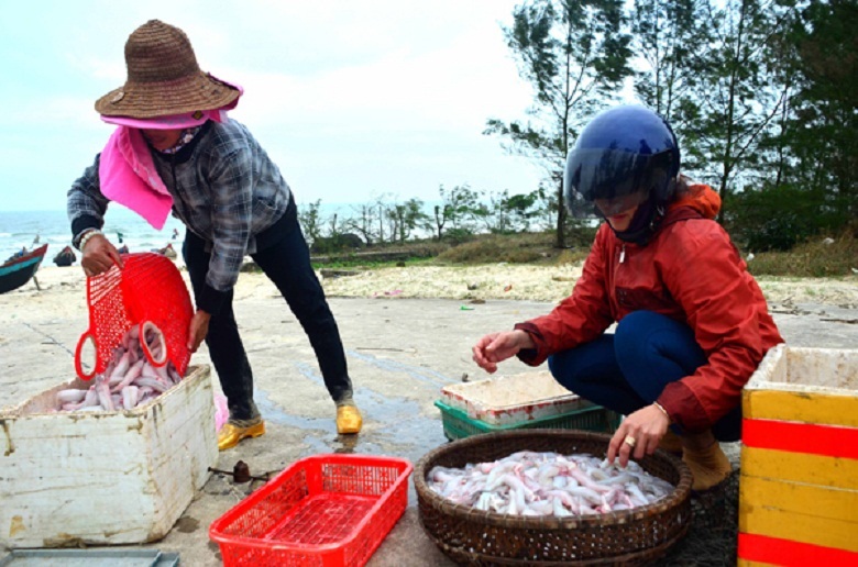 Xã hội - Ra khơi những ngày đầu xuân, ngư dân miền Trung trúng 'lộc biển' (Hình 2).