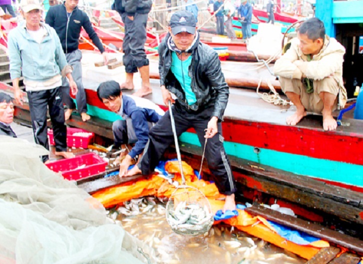 Xã hội - Ra khơi những ngày đầu xuân, ngư dân miền Trung trúng 'lộc biển' (Hình 3).