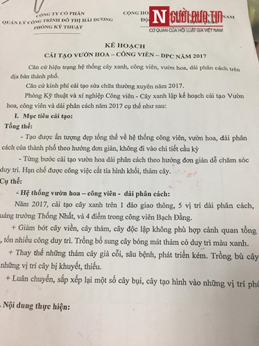 Xã hội - Hải Dương: Cây xanh đang đẹp bỗng bị phá, dân tiếc nuối xin về trồng (Hình 5).