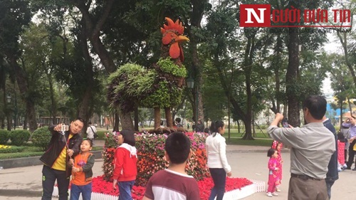 Xã hội - Hà Nội: Người dân thích thú với 12 con giáp 'khủng' kết bằng hoa (Hình 3).