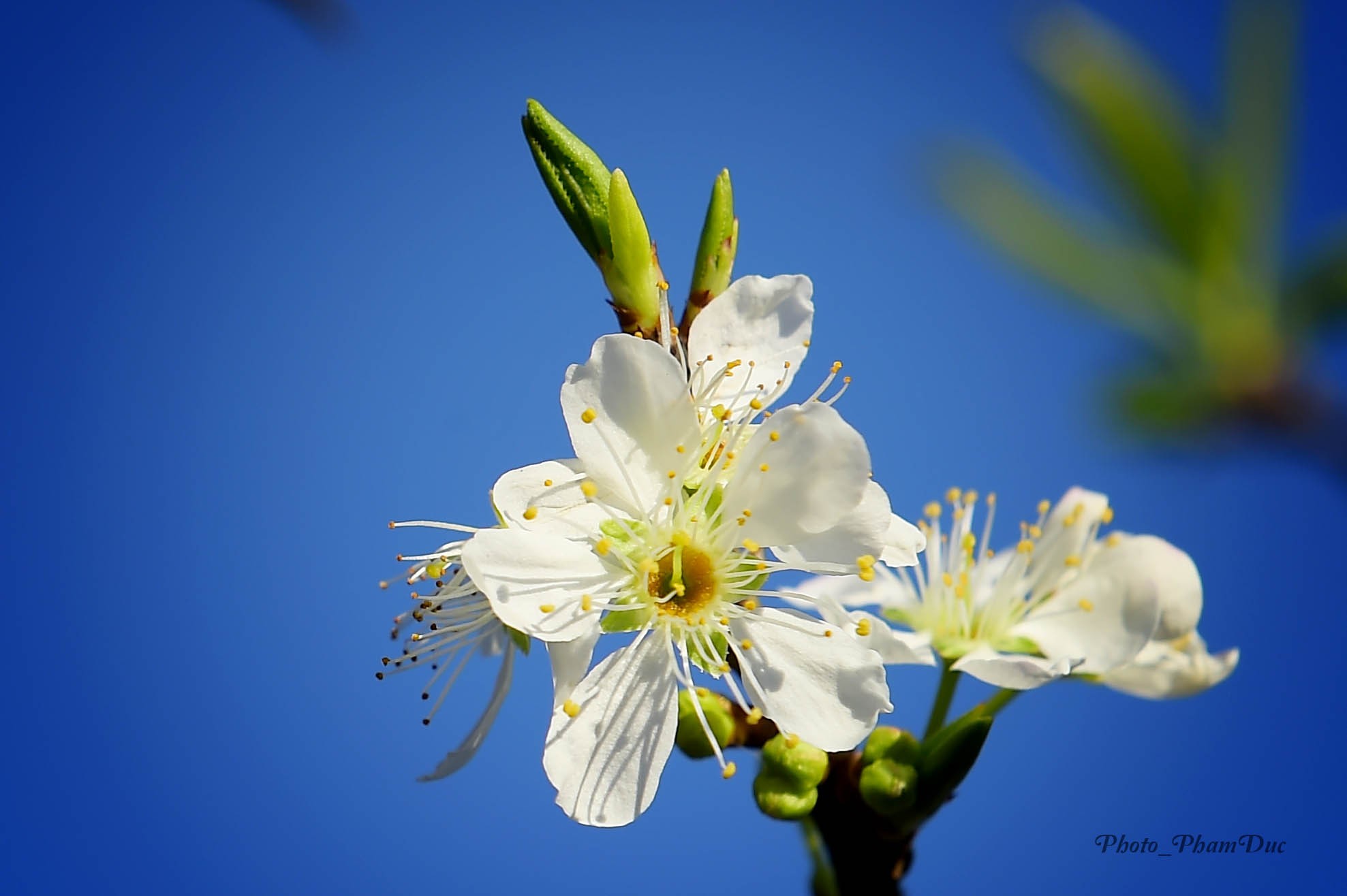 X&atilde; hội - Đẹp nao l&ograve;ng sắc xu&acirc;n nơi n&uacute;i rừng T&acirc;y Bắc (H&igrave;nh 4).