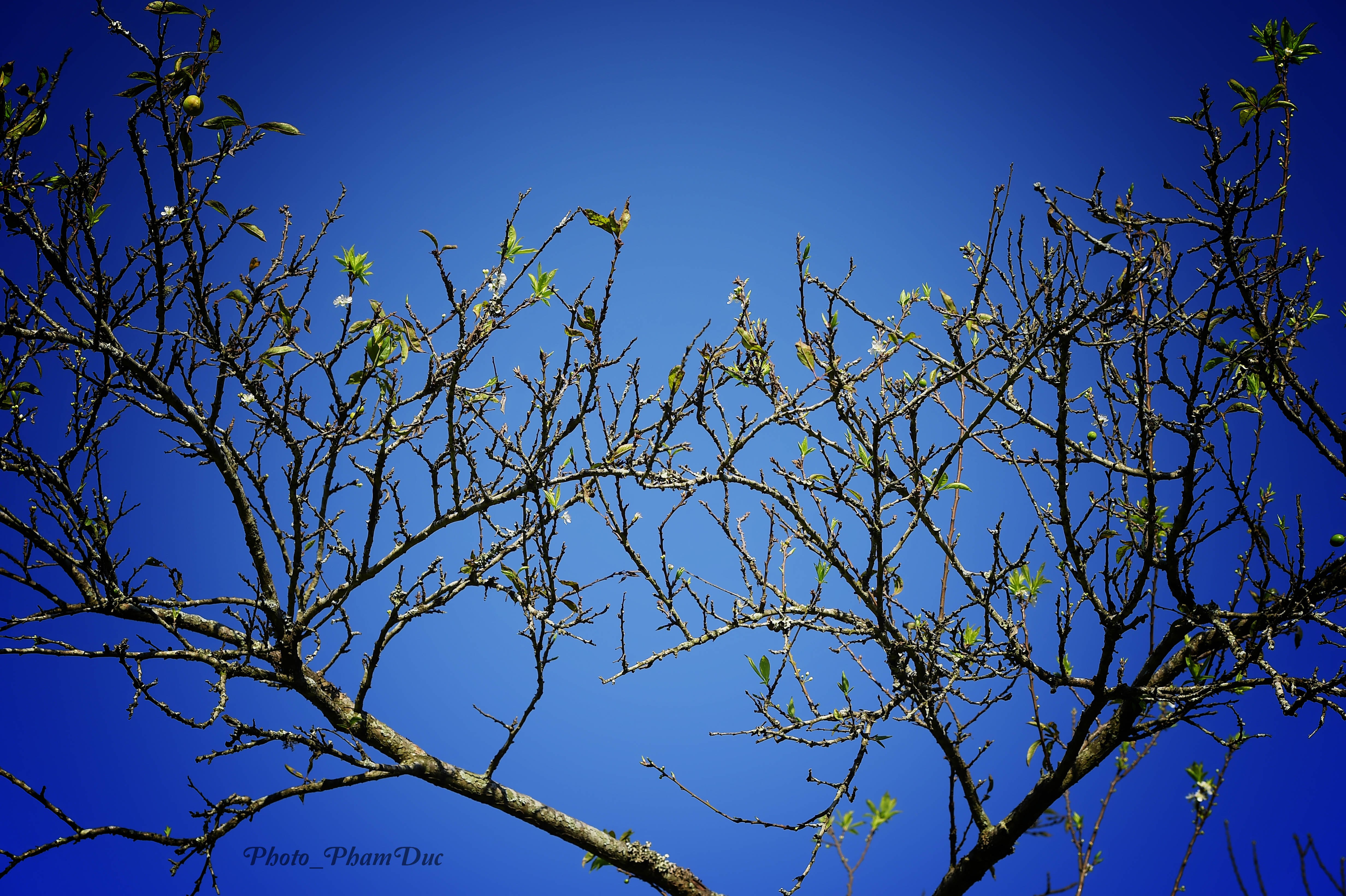 X&atilde; hội - Đẹp nao l&ograve;ng sắc xu&acirc;n nơi n&uacute;i rừng T&acirc;y Bắc (H&igrave;nh 2).