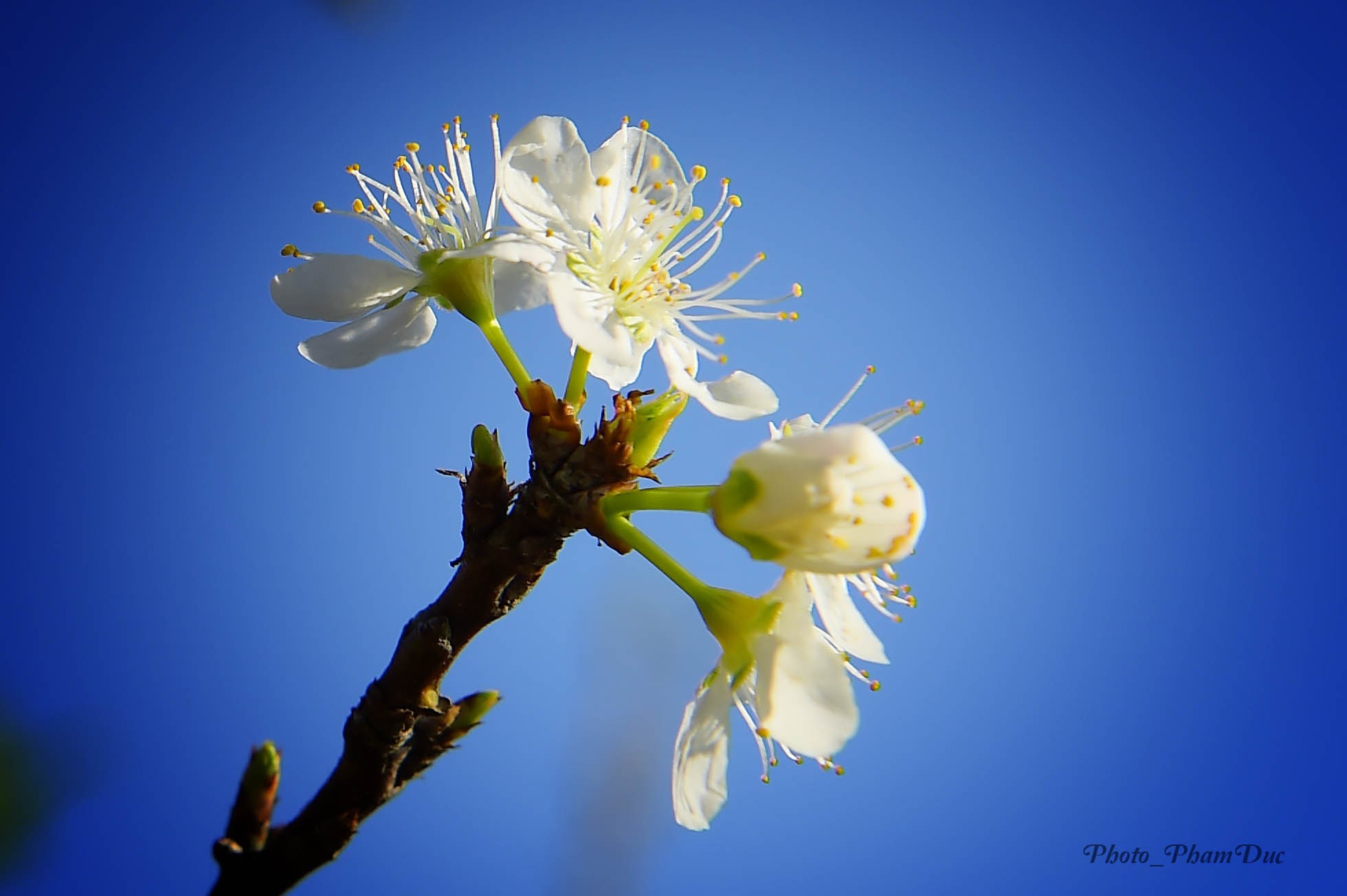 X&atilde; hội - Đẹp nao l&ograve;ng sắc xu&acirc;n nơi n&uacute;i rừng T&acirc;y Bắc (H&igrave;nh 6).