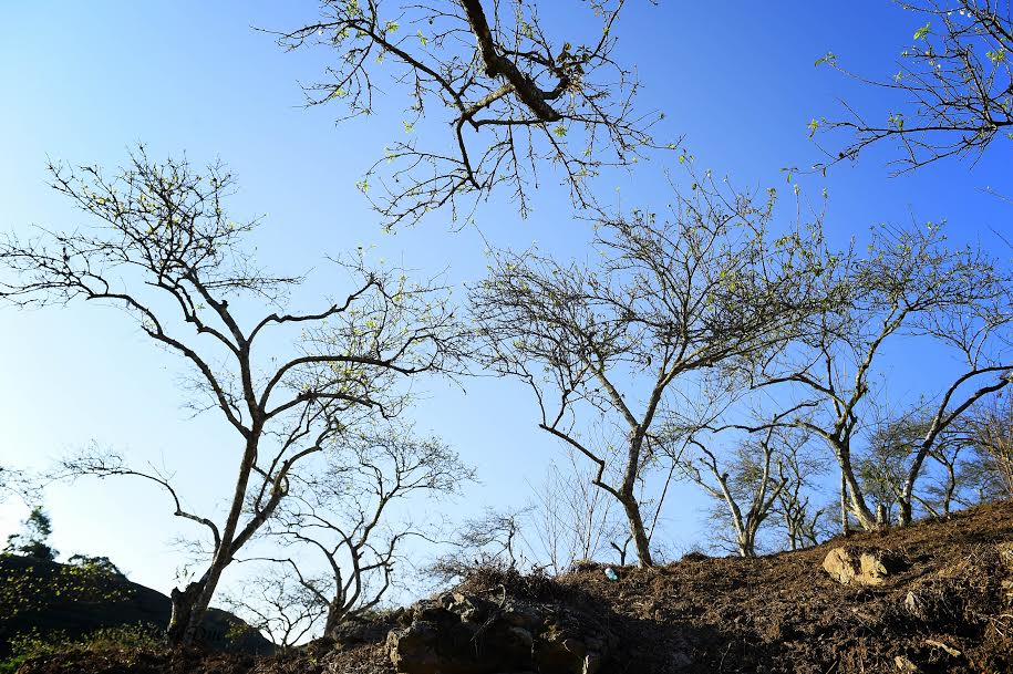 X&atilde; hội - Đẹp nao l&ograve;ng sắc xu&acirc;n nơi n&uacute;i rừng T&acirc;y Bắc (H&igrave;nh 9).