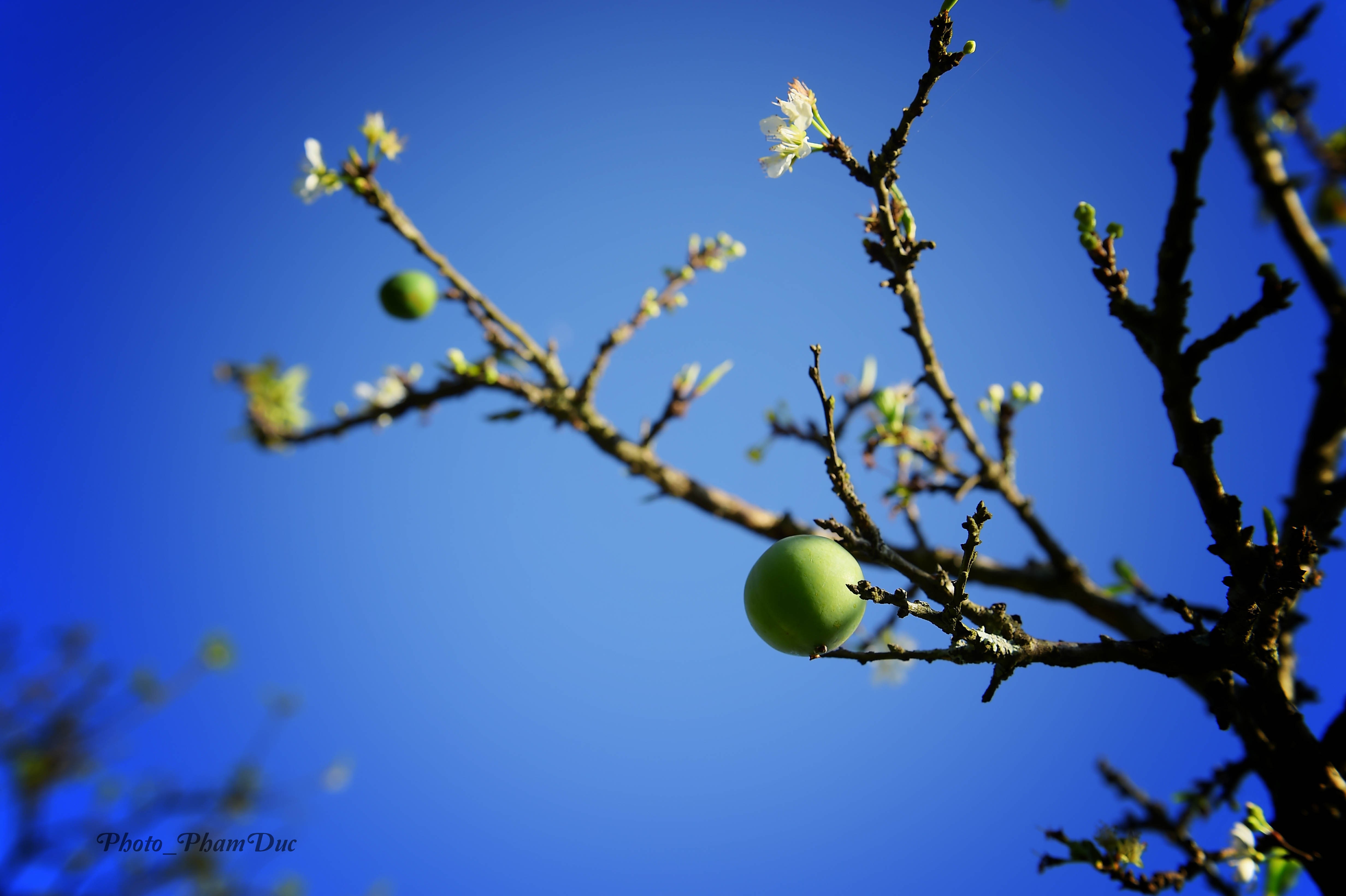 X&atilde; hội - Đẹp nao l&ograve;ng sắc xu&acirc;n nơi n&uacute;i rừng T&acirc;y Bắc (H&igrave;nh 3).
