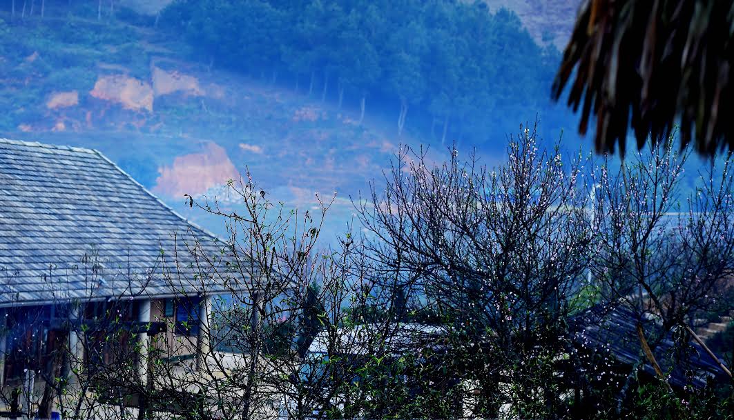 X&atilde; hội - Đẹp nao l&ograve;ng sắc xu&acirc;n nơi n&uacute;i rừng T&acirc;y Bắc (H&igrave;nh 14).