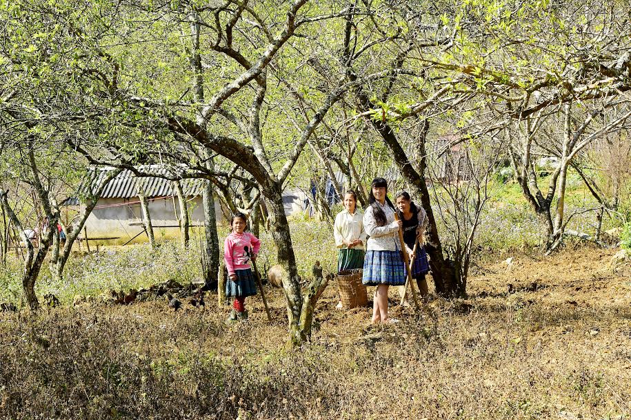 X&atilde; hội - Đẹp nao l&ograve;ng sắc xu&acirc;n nơi n&uacute;i rừng T&acirc;y Bắc (H&igrave;nh 8).