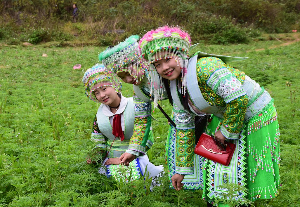 Dậy sóng mạng - Mê mẩn với nhan sắc của các ‘hoa khôi’ H’mông đi trảy hội (Hình 7).