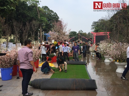 Xã hội - Lễ hội hoa Anh đào 2017: 'Nóng' ngay khi còn 'quây bạt' (Hình 2).