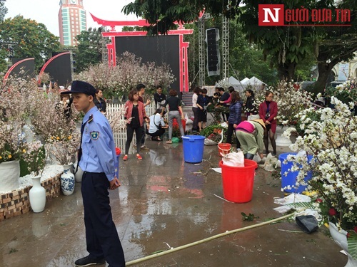 Xã hội - Lễ hội hoa Anh đào 2017: 'Nóng' ngay khi còn 'quây bạt' (Hình 3).