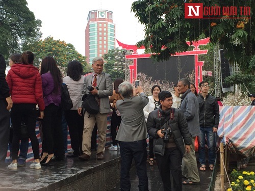 Xã hội - Lễ hội hoa Anh đào 2017: 'Nóng' ngay khi còn 'quây bạt' (Hình 5).