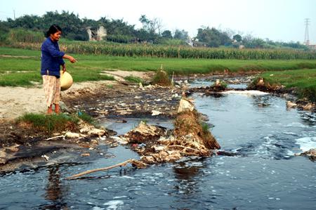 Môi trường - Ô nhiễm nước và những tác động nghiêm trọng tới môi trường