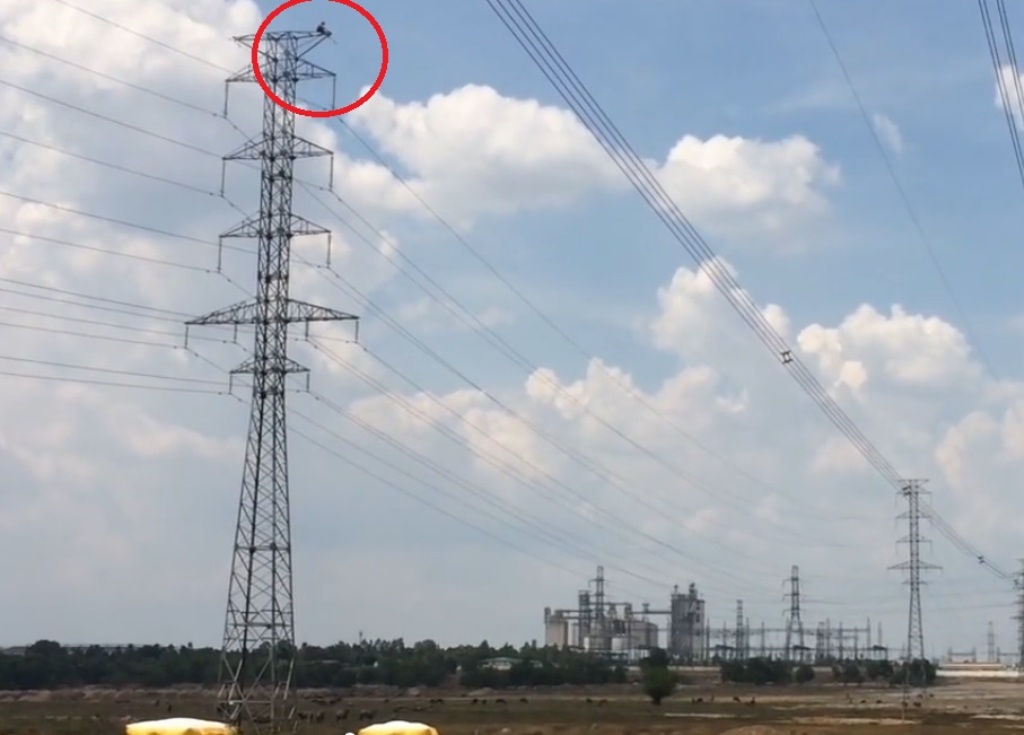 Tin nhanh - Giải cứu nam thanh niên ‘cố thủ’ trên cột điện cao thế 220kV