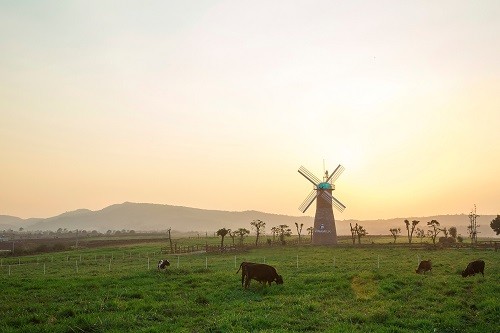 Xã hội - Vinamilk Organic Farm Tour - Chuyến du lịch 'có một không hai' (Hình 5).