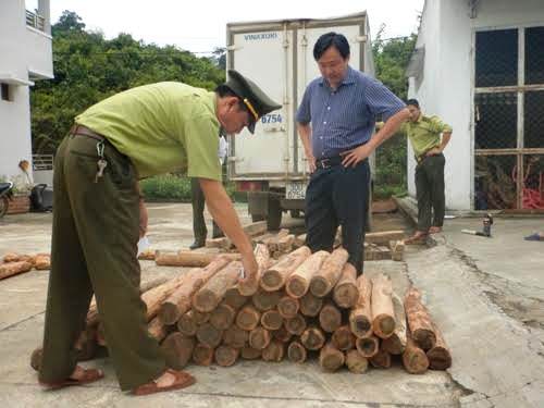 An ninh - Hình sự - Tạm giữ 100 khúc gỗ hương giáng trên đường về xuôi tiêu thụ