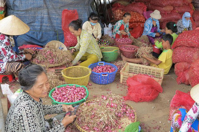 Xã hội - Tổng cục Thuế: Có việc lợi dụng chính sách để mua bán hóa đơn thuế