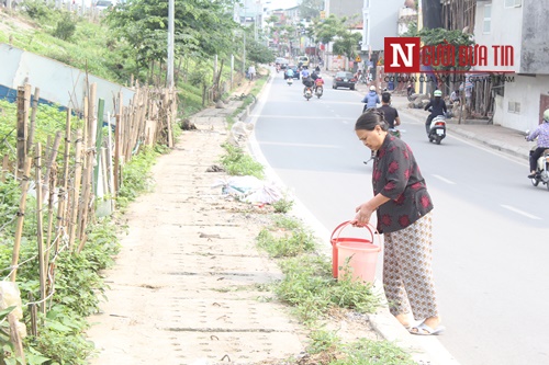 Xã hội - Hà Nội: Mãn nhãn vườn rau sạch dài gần 2km trồng trong hốc xi măng (Hình 6).