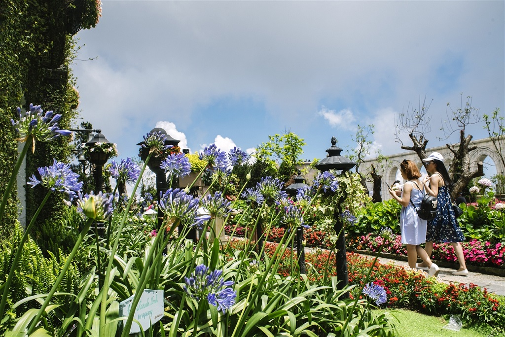 Tiêu dùng & Dư luận - Đến Sun World Ba Na Hills ngắm hơn 100 loài hoa đua nở (Hình 6).