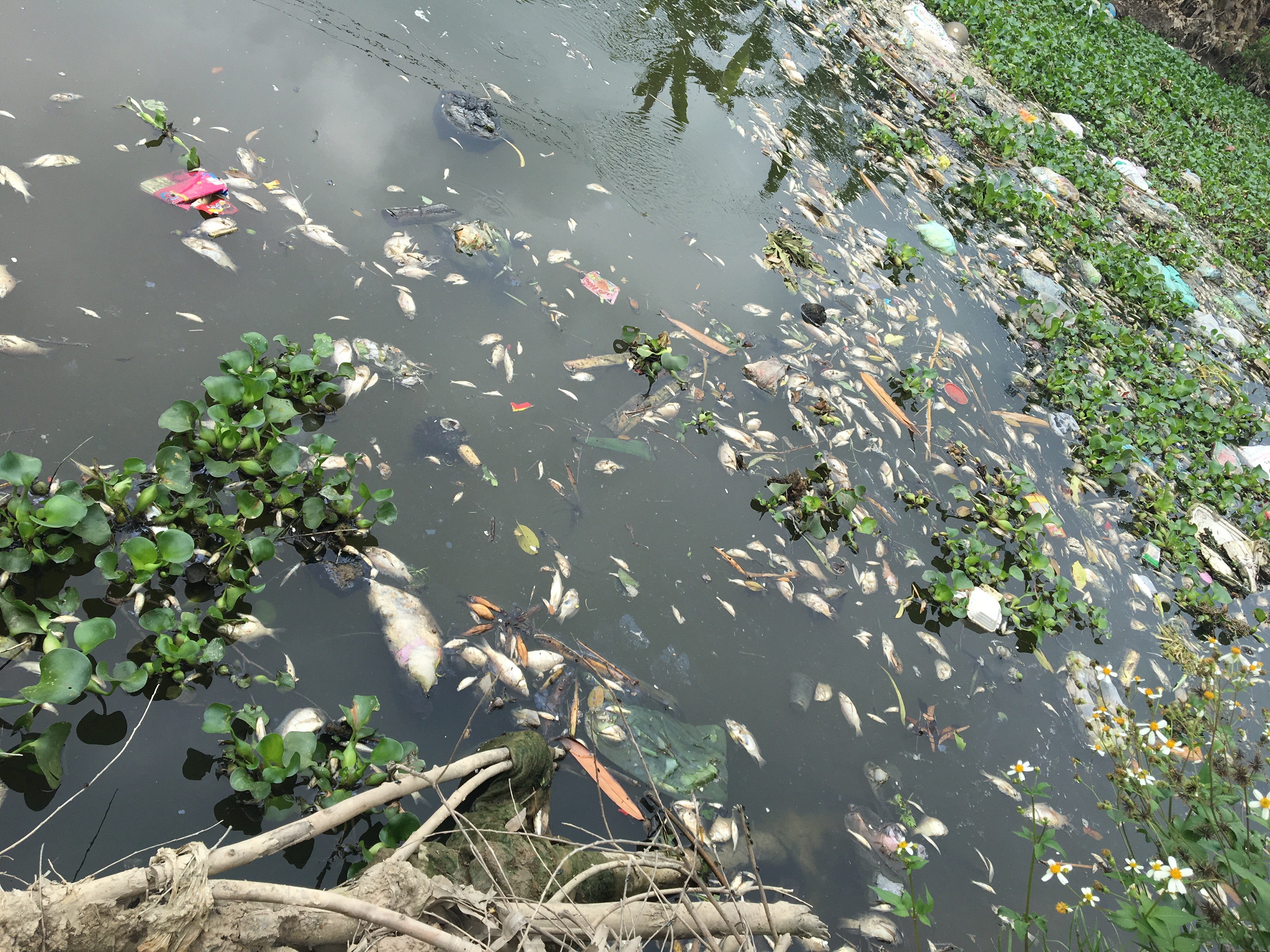 Điểm nóng - Hải Dương: Dân “kêu cứu” vì ô nhiễm môi trường tại Bình Giang
