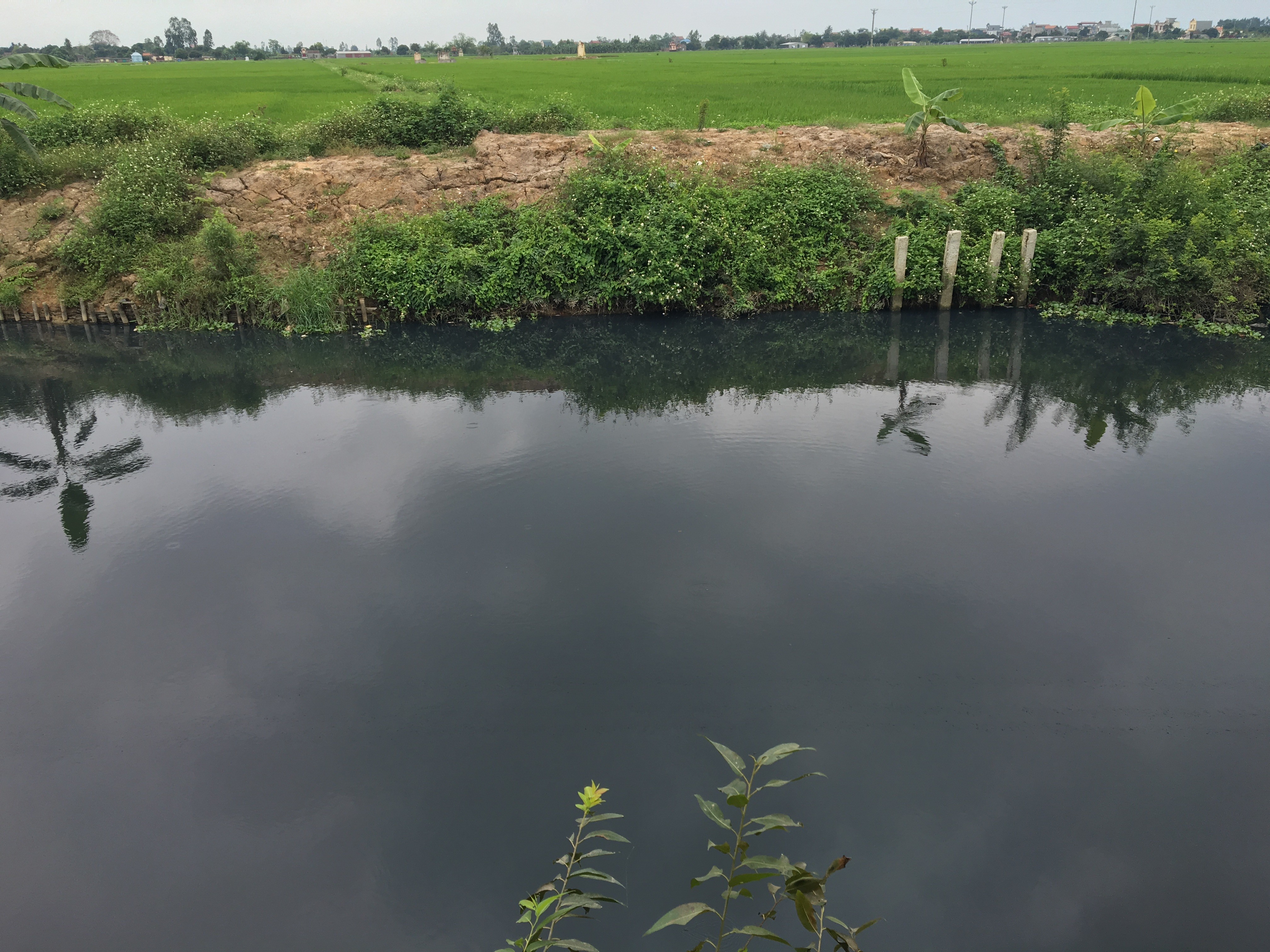 Điểm nóng - Hải Dương: Dân “kêu cứu” vì ô nhiễm môi trường tại Bình Giang (Hình 3).