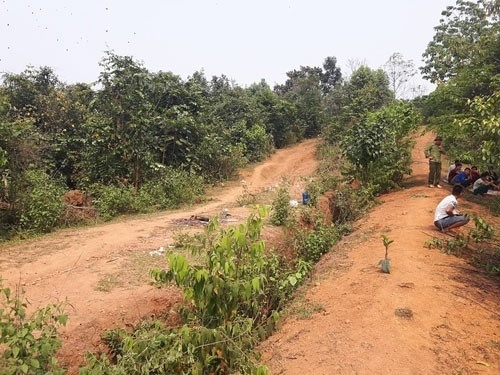 An ninh - Hình sự - Hòa Bình: Nghi can hiếp dâm, giết chết cô giáo bị truy nã toàn quốc