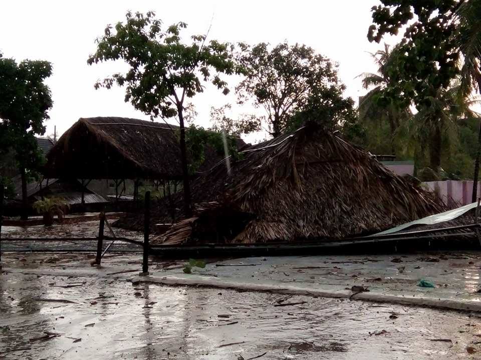 Tin nhanh - Mưa kèm lốc xoáy trái mùa 'quật đổ' cây, cuốn bay nhiều biển hiệu (Hình 2).