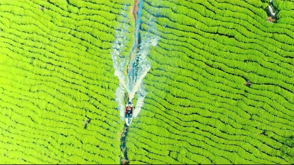 Âm nhạc - Sơn Tùng M-TP khuấy đảo ngày hè bằng MV ‘Bình yên những phút giây’