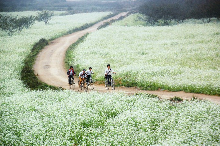 Mạng ảo - Đời thực - Nghỉ lễ 30/4 – 1/5: Những địa điểm du lịch tại miền Bắc siêu hot (Hình 4).