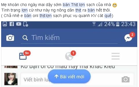 Gia đình - Thịt lợn rớt giá, bố mẹ 'khoán' các con rao bán online (Hình 2).